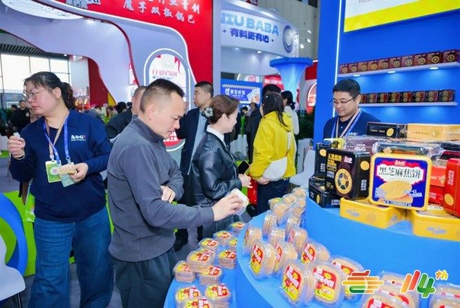 展会概况